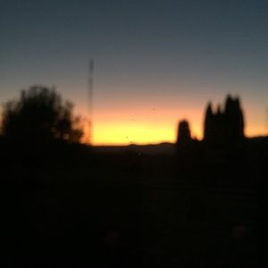 Meet your Posher, Luci